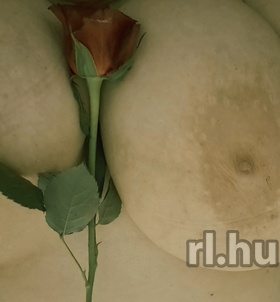 Budapest, Vir�g 06701710100