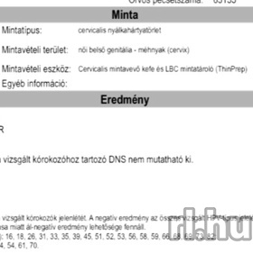 Budapest, Vivi 06301631808