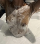 Budapest, Zara 06306104995