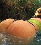 Budapest, Zsfi 06205558418