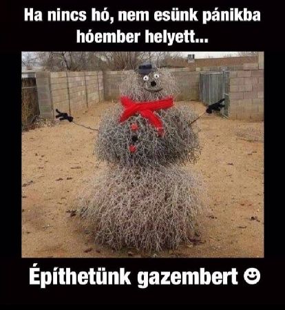 ./images_forum_posts/76/769971.jpg