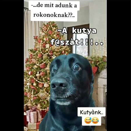 ./images_forum_posts/76/769981.jpg