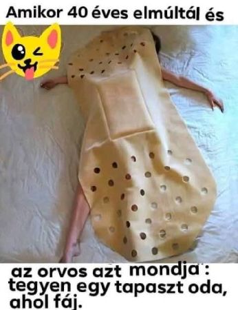 ./images_forum_posts/77/773950.jpg