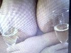 v�g�llom�s01